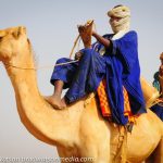 Tuaregmali Bradleywatson Cc 1000x667