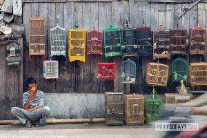 11jun17day16-ManBirdcages-PeterNijenhuis-FlickrCC-1000px