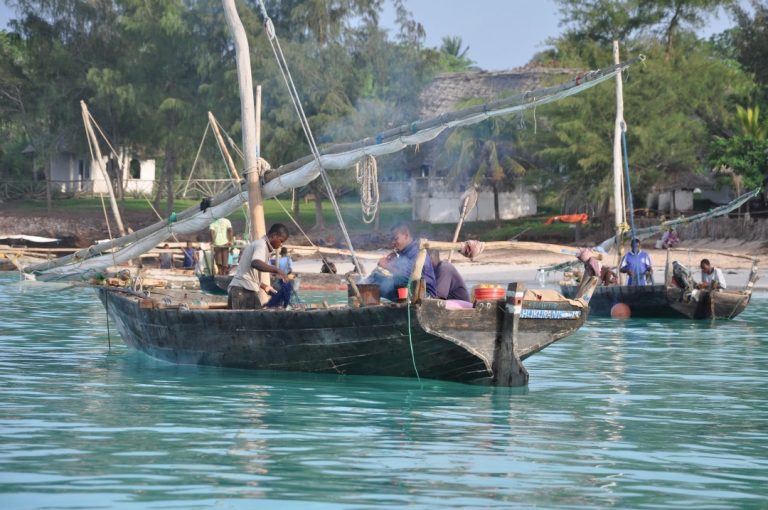 Day21 Zanzibarfisherman Photobyarticleauthor 2019