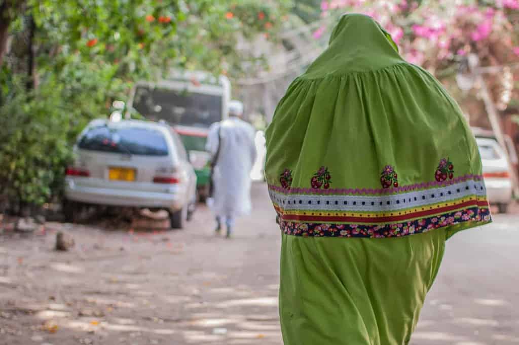 Day 10 bohra woman clothing photo by author uwp