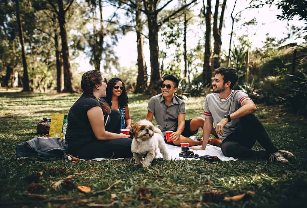 Day 22 international students on grass pexels cc by helena lopes