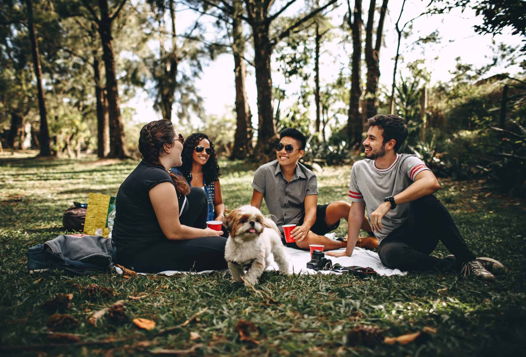 Day 22 - International students on grass Pexels CC by Helena Lopes
