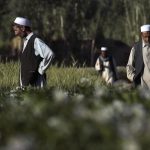 AfghanMenBamiyan-byUNPhoto-FlickrCC