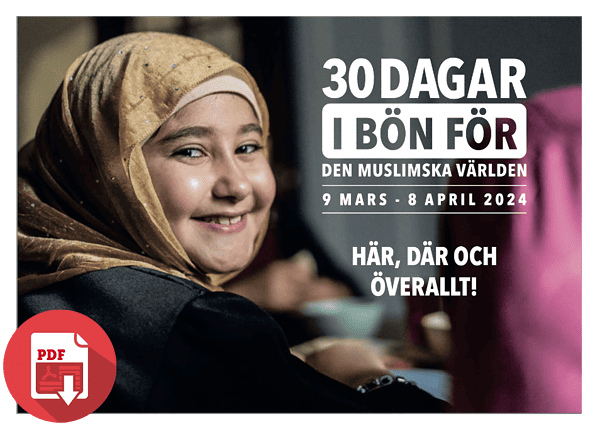 30days 2024 pdfstorecoverswedish