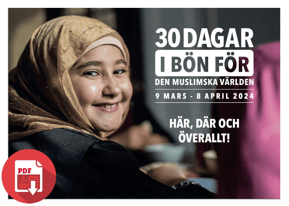 30days 2024 pdfstorecoverswedish