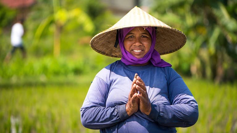 Indonesiawomanricefarmer Bytija Viacanva