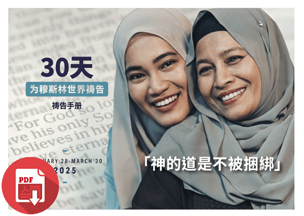 2025 30days chinese simple pdf store cover