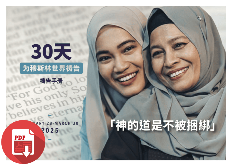 2025 30days chinese simple pdf store cover