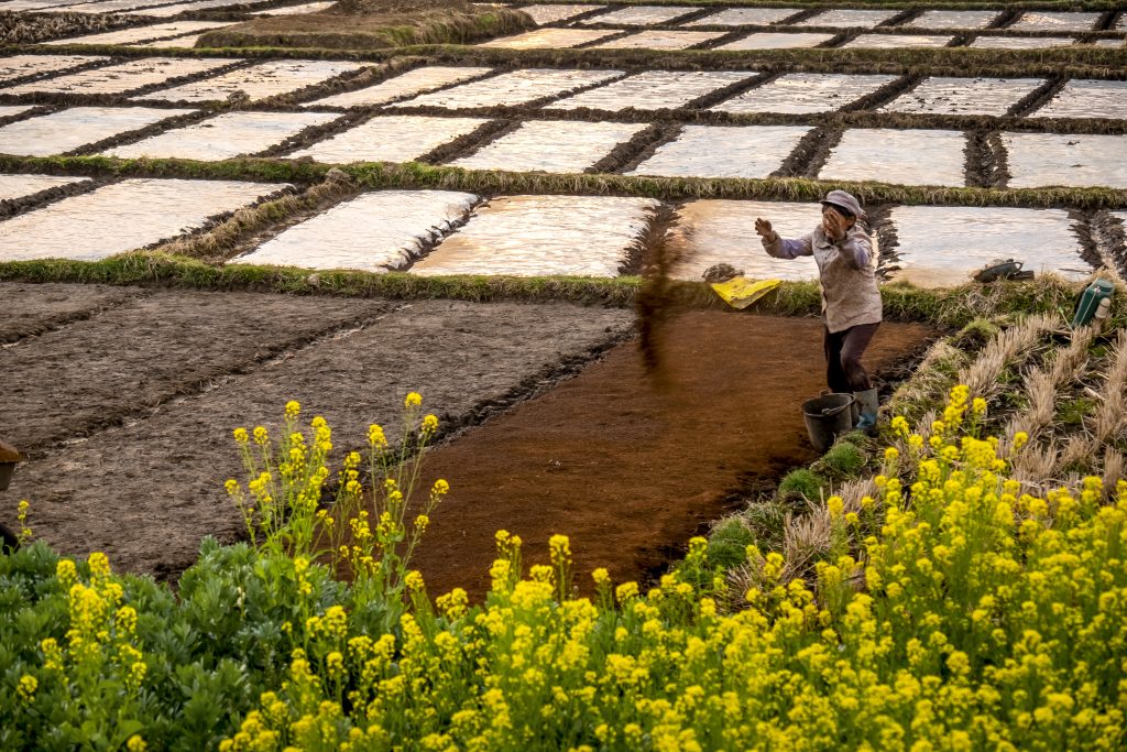 Chinayunnan huimuslimwomanfield byimbphotos