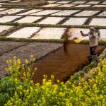 Chinayunnan huimuslimwomanfield byimbphotos