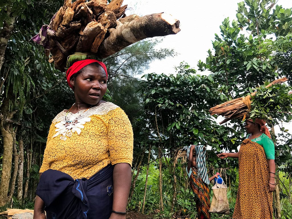 Comoros womancarryingwood byiied viaflickrcc